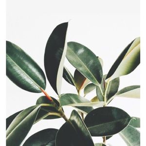 Meet your Posher, Chanel